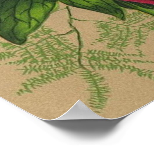 Rode rozen schilderen poster (Hoek)