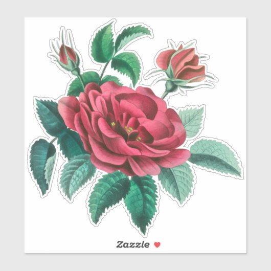  rode rozen sticker (Vel)