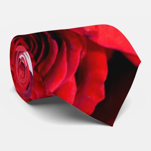 Rode rozen stropdas (Opgerold)