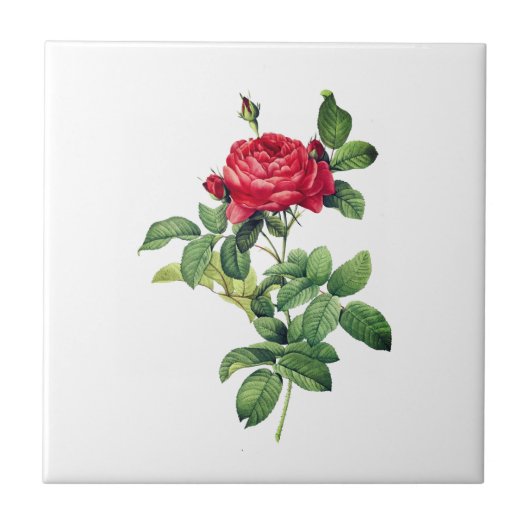 rode rozen tegeltje (Voorkant)