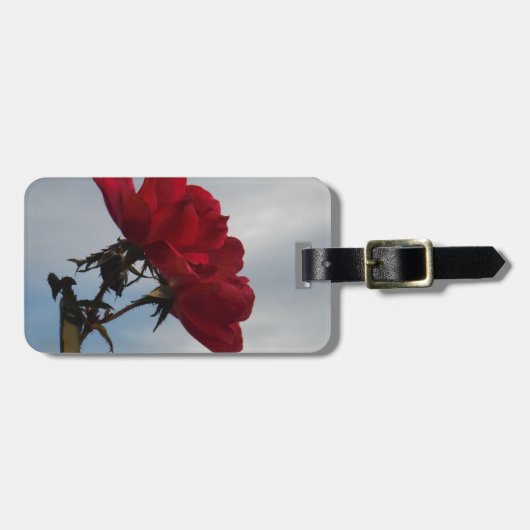 Rode rozen tegen een heldere blauwe hemel bagagelabel (Voorkant horizontaal)