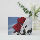 Rode rozen tegen een heldere blauwe hemel briefkaart (Staand voorkant)