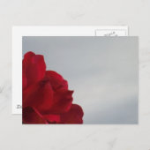 Rode rozen tegen een heldere blauwe hemel briefkaart (Voorkant / Achterkant)