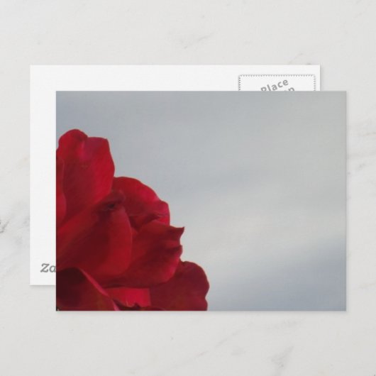 Rode rozen tegen een heldere blauwe hemel briefkaart (Voorkant / Achterkant)