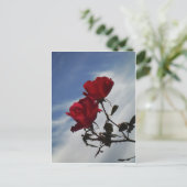 Rode rozen tegen een heldere blauwe hemel briefkaart (Staand voorkant)
