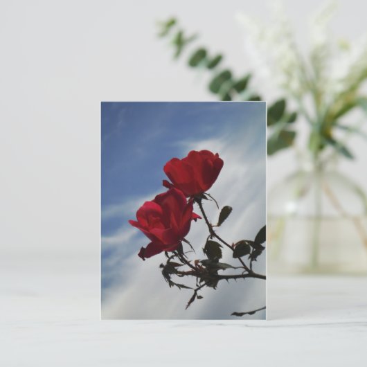 Rode rozen tegen een heldere blauwe hemel briefkaart (Staand voorkant)