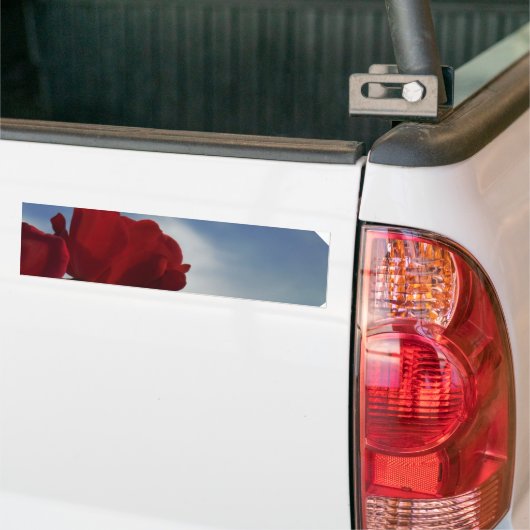 Rode rozen tegen een heldere blauwe hemel bumpersticker (Op Truck)