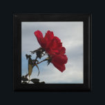 Rode rozen tegen een heldere blauwe hemel cadeaudoosje<br><div class="desc">Red Roses Against a Bright Blue Sky Foto van Sandy Closs,  genomen op Lake Arrowiad. Valentijnse Valentijnsdag"rode rozen""roze rozen""roze rozen""roze rozen""bruiloften""liefdescadeau""rode bloem""rode bloemen""rode roze" rozen "geschenken met rozen" van rood blauw roos</div>