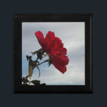 Rode rozen tegen een heldere blauwe hemel cadeaudoosje<br><div class="desc">Red Roses Against a Bright Blue Sky Foto van Sandy Closs,  genomen op Lake Arrowiad. Valentijnse Valentijnsdag"rode rozen""roze rozen""roze rozen""roze rozen""bruiloften""liefdescadeau""rode bloem""rode bloemen""rode roze" rozen "geschenken met rozen" van rood blauw roos</div>