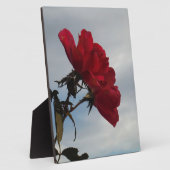 Rode rozen tegen een heldere blauwe hemel fotoplaat (Zijkant)