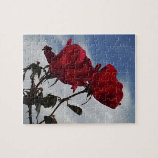 Rode rozen tegen een heldere blauwe hemel legpuzzel (Horizontaal)