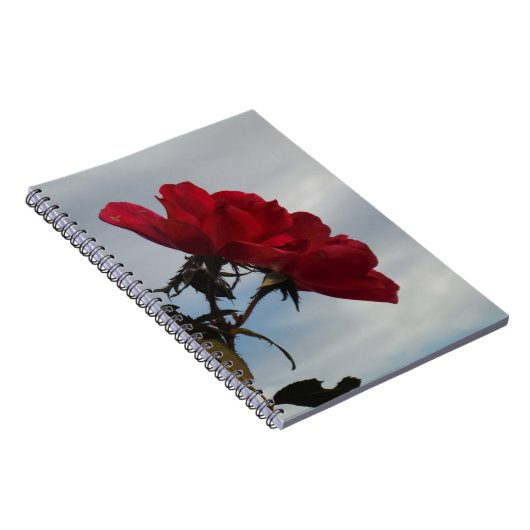 Rode rozen tegen een heldere blauwe hemel notitieboek (Rechterzijde)
