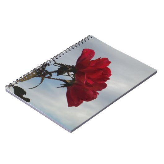 Rode rozen tegen een heldere blauwe hemel notitieboek (Linkerzijde)