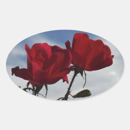 Rode rozen tegen een heldere blauwe hemel ovale sticker (Voorkant)