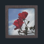Rode rozen tegen een heldere blauwe hemel premium juwelen doos<br><div class="desc">Red Roses Against a Bright Blue Sky Foto van Sandy Closs,  genomen op Lake Arrowiad. "rode rozen""rode rozen""roze rozen""roze rozen""bruiloften""liefdescadeau""rode bloemen""rode bloemen""rode roze" rode blauwe rozen rozen "geschenken met rozen"</div>