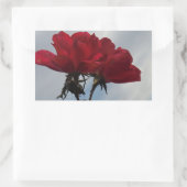 Rode rozen tegen een heldere blauwe hemel rechthoekige sticker (Tas)