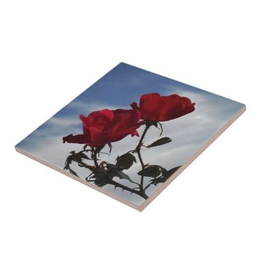 Rode rozen tegen een heldere blauwe hemel tegeltje (Zijkant)