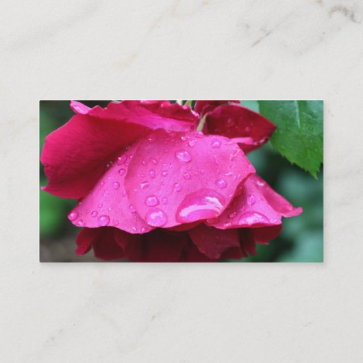 Rode rozen ventilator visitekaartje (Achterkant)