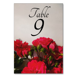 Rode rozen verse knoppen die de heldere bloemen bl kaart