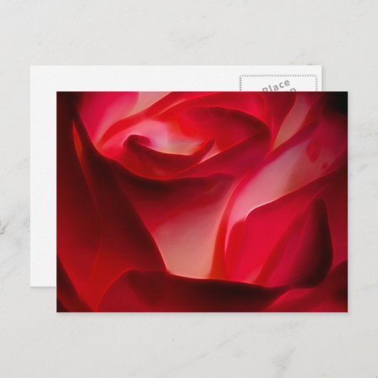 rode rozenbladen briefkaart (Voorkant / Achterkant)