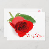 Rode rozenbloem Dank u Bloem Briefkaart (Voorkant / Achterkant)