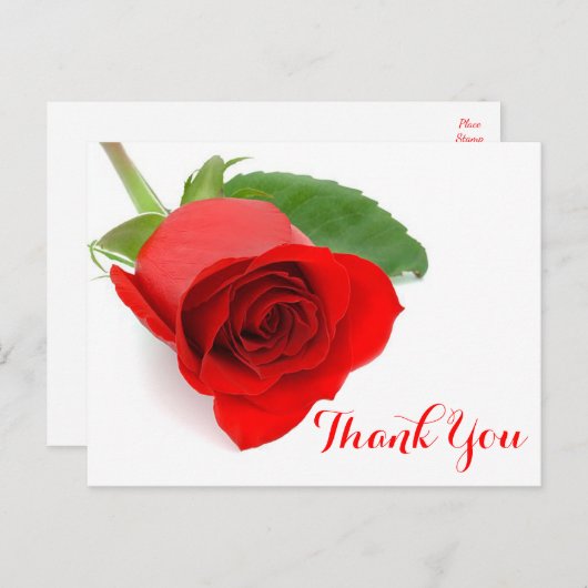 Rode rozenbloem Dank u Bloem Briefkaart (Voorkant / Achterkant)