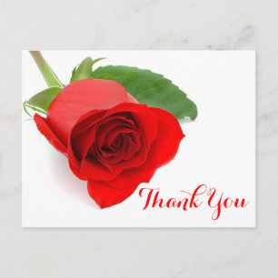 Rode rozenbloem Dank u Bloem Briefkaart