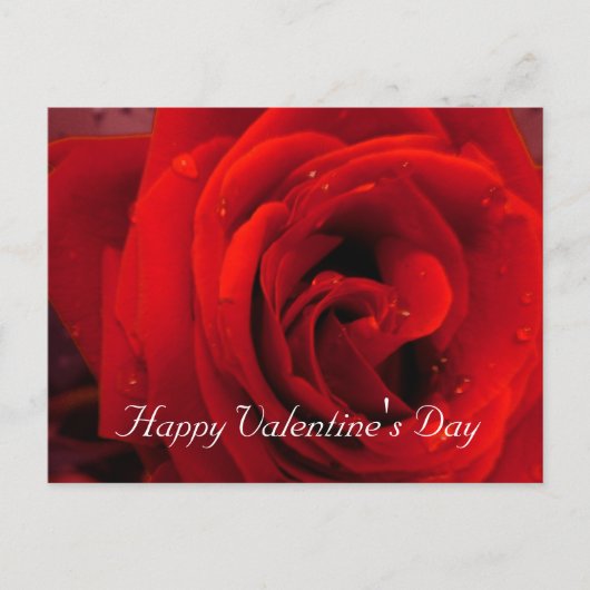 Rode rozenbloem feestdagenkaart (Voorkant)