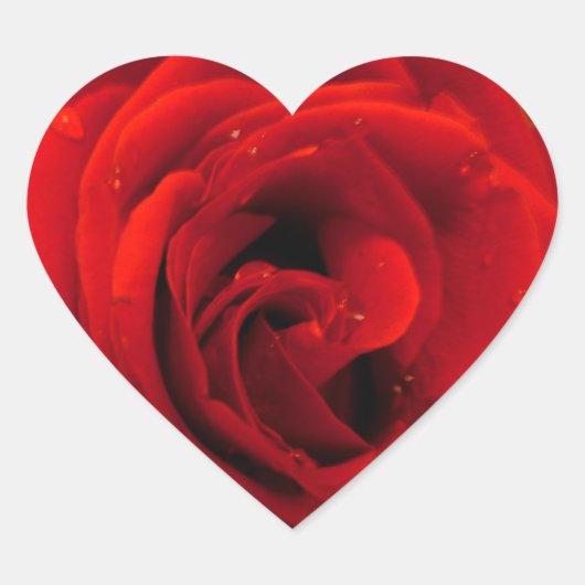 Rode rozenbloem hart sticker (Voorkant)