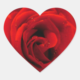 Rode rozenbloem hart sticker