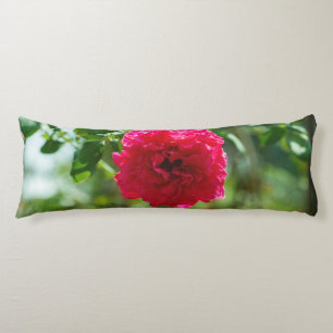 Rode rozenbloem lichaamskussen