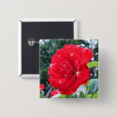 Rode rozenbloem met sterren vierkante button 5,1 cm (Voorkant /achterkant)