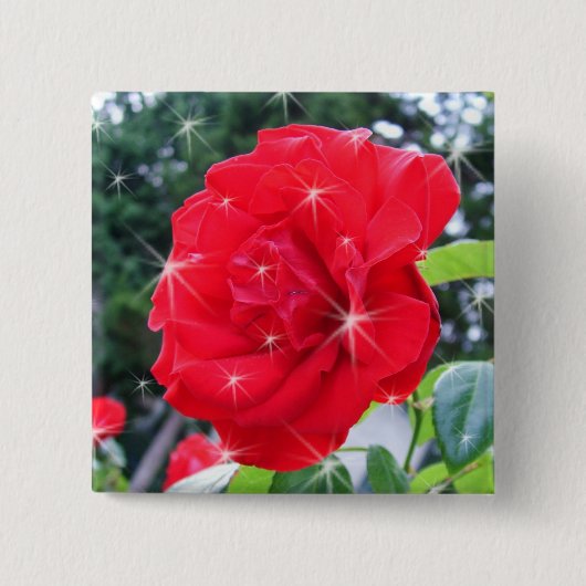 Rode rozenbloem met sterren vierkante button 5,1 cm (Voorkant)