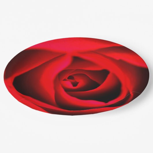 Rode rozenbloem Papier bord (Gekanteld)