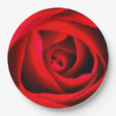 Rode rozenbloem Papier bord (Voorkant)