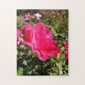 Rode rozenbloem puzzel (Verticaal)