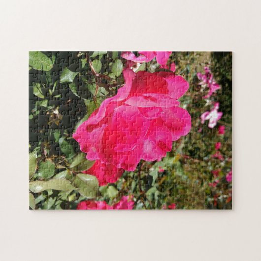 Rode rozenbloem puzzel legpuzzel (Horizontaal)