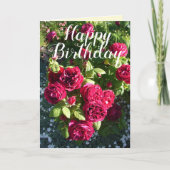 Rode rozenbloem Rozen Bloedbloem Dagelijkse Kaart (Voorkant)