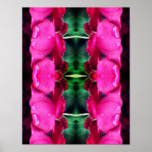 Rode rozenbloemen en regendruppels Abstract Poster