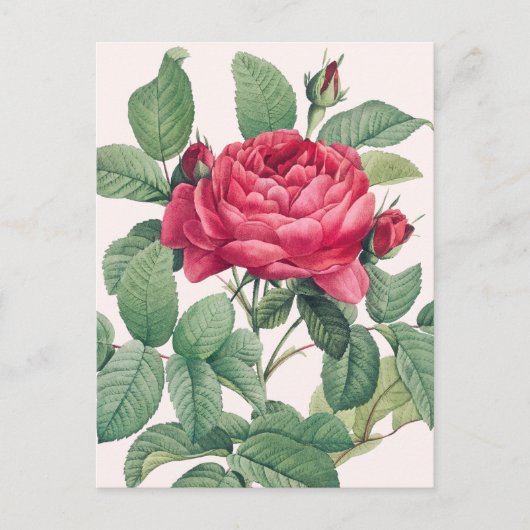 Rode rozenbloemen met groene bladeren briefkaart (Voorkant)