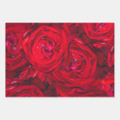 Rode rozenbloesems met dauwdruppels - fotografie inpakpapier vel (Voorkant)