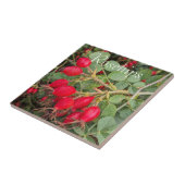 Rode Rozenbotten Botanisch Tegeltje (Zijkant)