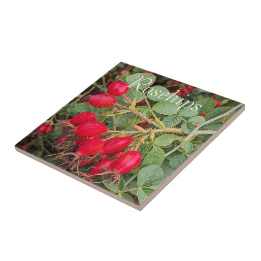 Rode Rozenbotten Botanisch Tegeltje (Zijkant)