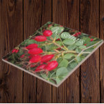 Rode Rozenbotten Botanisch Tegeltje<br><div class="desc">Botanische thema,  keramische tegel met een foto-afbeelding van felle,  rode Rozenbottelaars,  de vrucht van verschillende Rozen planten. Een mooi,  bloemig ontwerp! Selecteer de grootte van uw tegel. Maakt een geweldige keuken trivet!</div>