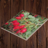 Rode Rozenbotten Botanisch Tegeltje