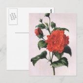  rode rozenBriefkaarten Briefkaart (Voorkant / Achterkant)