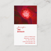 Rode rozenfotografie-visitekaartjes visitekaartje (Achterkant)