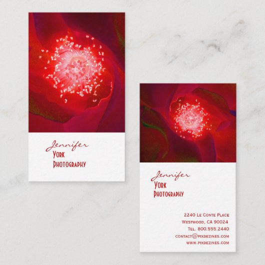 Rode rozenfotografie-visitekaartjes visitekaartje (Voorkant / Achterkant)
