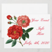  rode rozenillustratie Thunder_Cove (Voorkant / Achterkant)