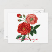 rode rozenillustratie Thunder_Cove Briefkaart (Voorkant / Achterkant)